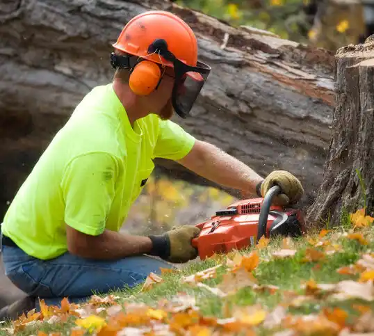 tree services North Oaks